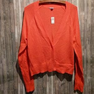 Aerie L Cardigan NWT